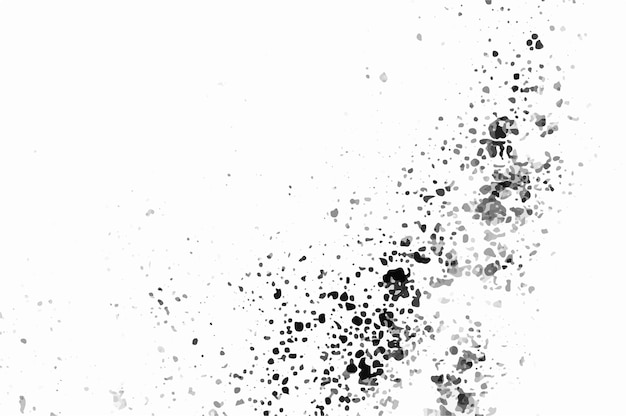 Dust rubbish dirt isolated on white background Grunge background black and white vector Abstract art