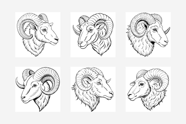 Dynamic Ram Fur Head Silhouette Illustrator Art