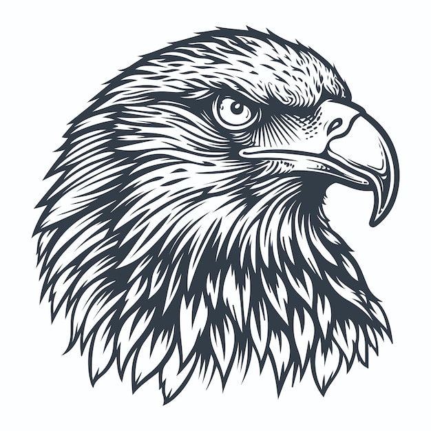 eagle bird head vintage woodcut drawing vector