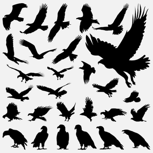 eagle bird silhouette design template