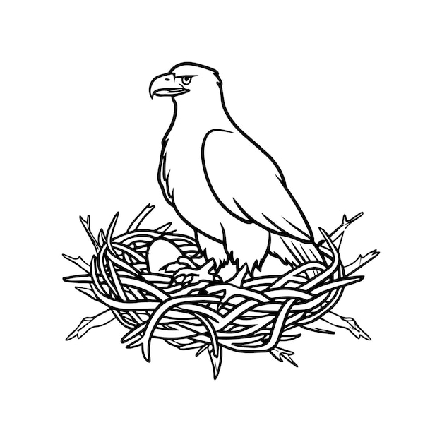 Eagle coloring pages Eagle bird outline vector for coloring book