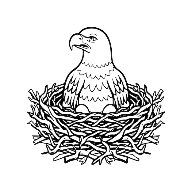 Eagle coloring pages Eagle bird outline vector for coloring book