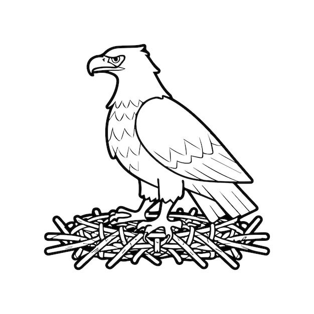 Eagle coloring pages Eagle bird outline vector for coloring book