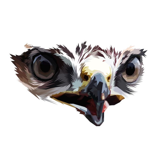 Vector eagle eye on isolated white background