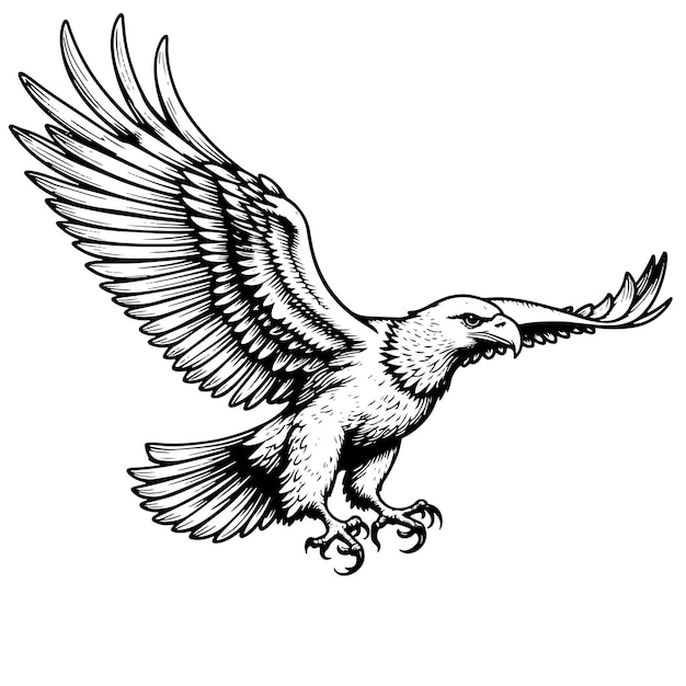 Vector eagle flying in black and white vector vector illustration