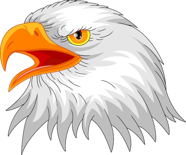 Vector eagle head mascot