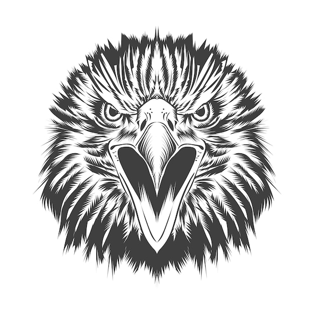 Eagle head vector art illustration design style