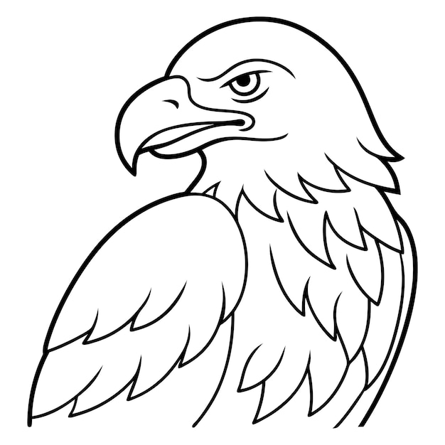 Vector eagle preening line art