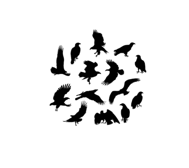 Eagle Silhouettes art vector design