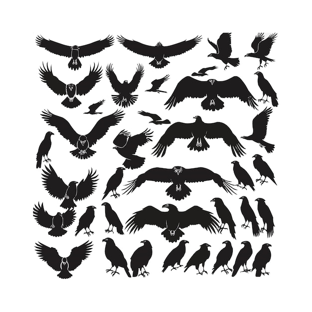 Vector eagle silhouettes set large pack of vector silhouette design isolated white background