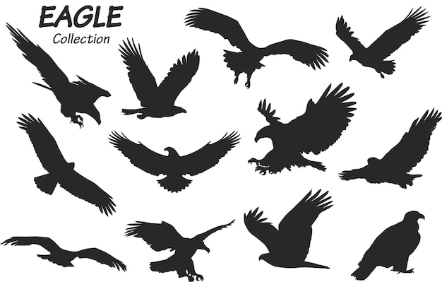 Eagle silhouettes set