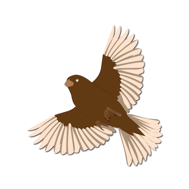 eagle vector illustration