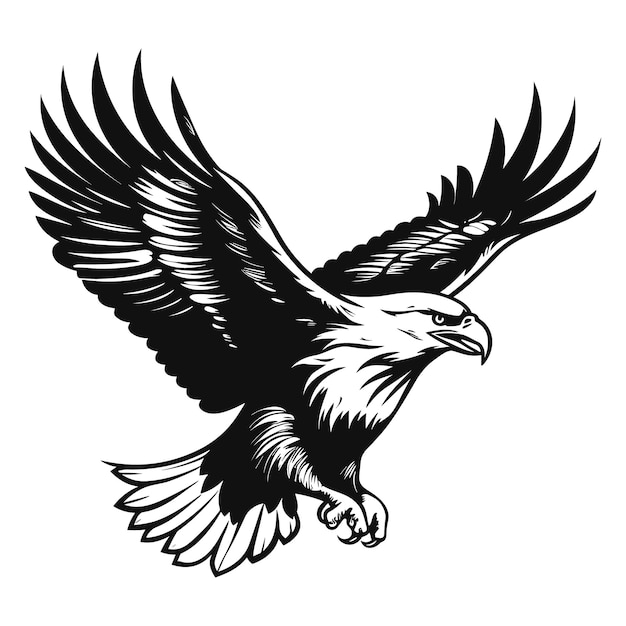 Eagle vector illustration