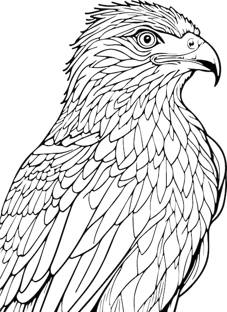 EagleEagleVector illustration mandala for vinyl cutting