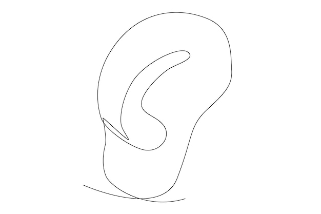 An ear as a part of the human body one line art illustration