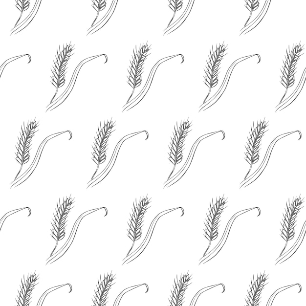 ear of wheat seamless pattern isolated on white background