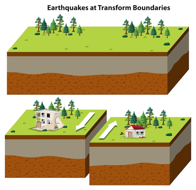 Vector earthquakes at transform boundaries