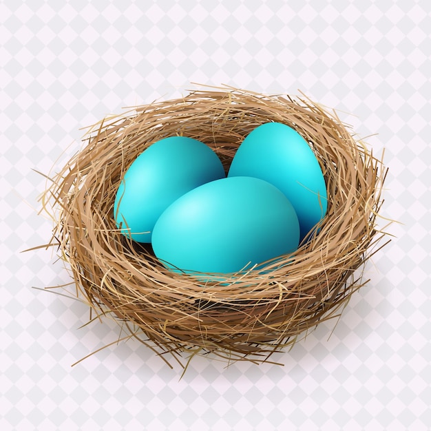 Easter blue eggs in a nest isolated design element