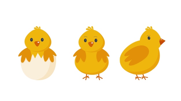 Easter chickens cartoon style on a white background Eps 10