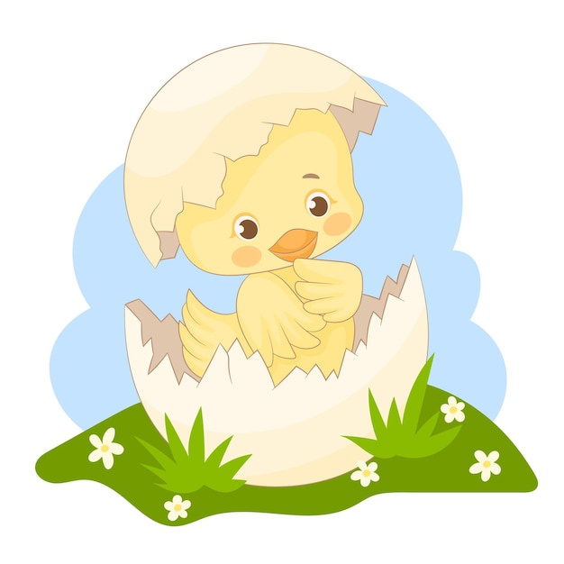 Easter duckling born from an egg