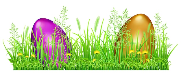 Easter eggs in green grass with dandelions and spikelets on white background