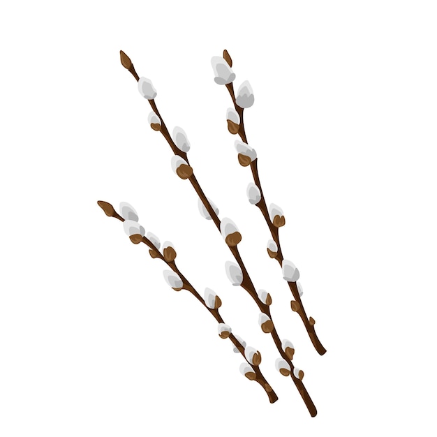 Easter spring twigs blossom pussy willow tree Vector spring holiday illustration in cartoon