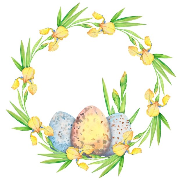 Easter wreath with yellow flowers irises and eggs watercolor illustration Floral circle border