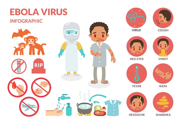 Ebola virus infection infographics.