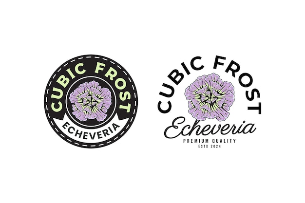 echeveria of cubic frost succulents logo design for plant shop and lover business