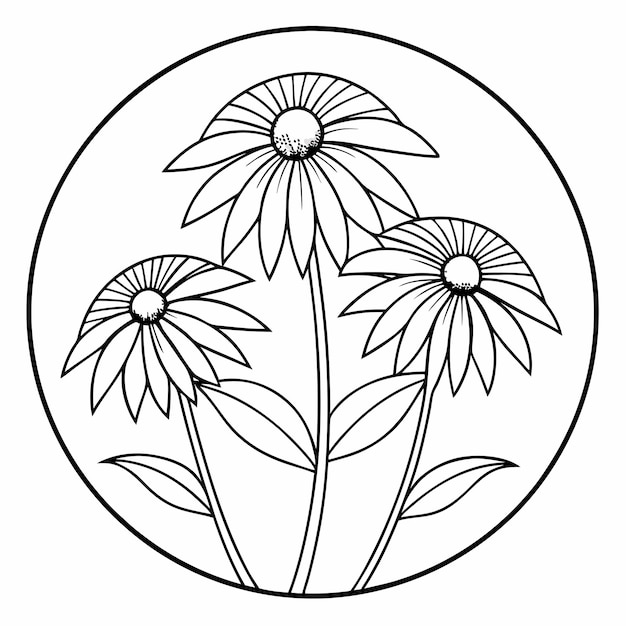 Echinacea Flowers Coloring Pages Beautiful Designs for Flower Lovers