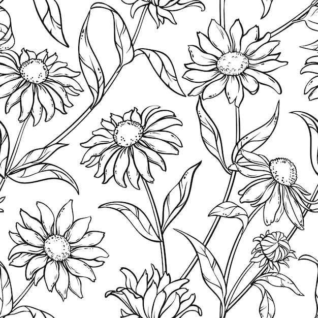 Echinacea seamless pattern