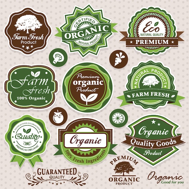 Vector eco and bio collection of calligraphic and typographic design with labels, icons elements.