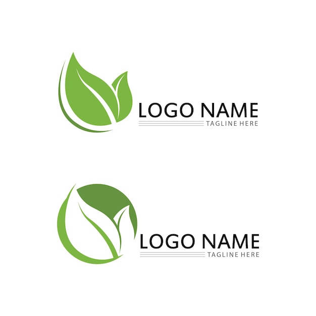 Eco Energy Vector Logo with leaf symbol Green color with flash or thunder graphic Nature and electricity renewable This logo is suitable for technology recycle organic