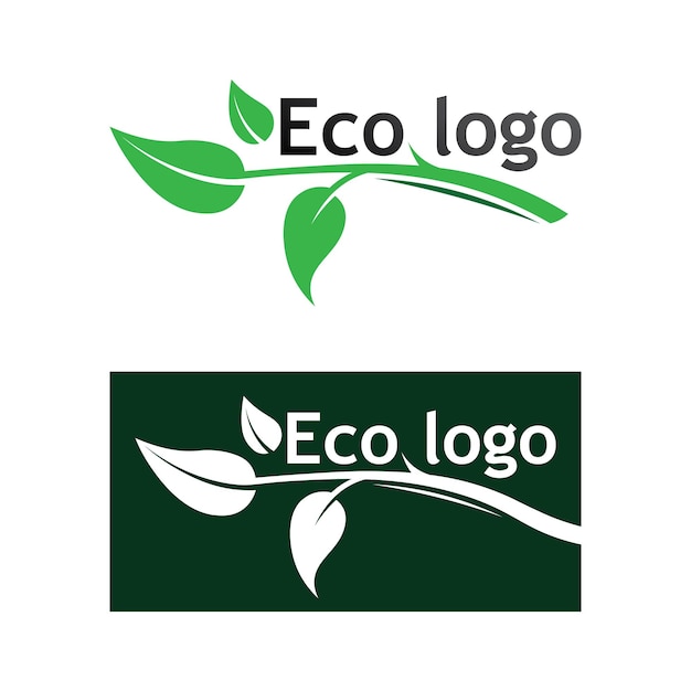 Eco Energy Vector Logo with leaf symbol Green color with flash or thunder graphic Nature and electricity renewable This logo is suitable for technology recycle organic