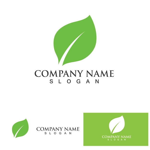 Eco Energy Vector Logo with leaf symbol Green color with flash or thunder graphic Nature and electricity renewable This logo is suitable for technology recycle organic