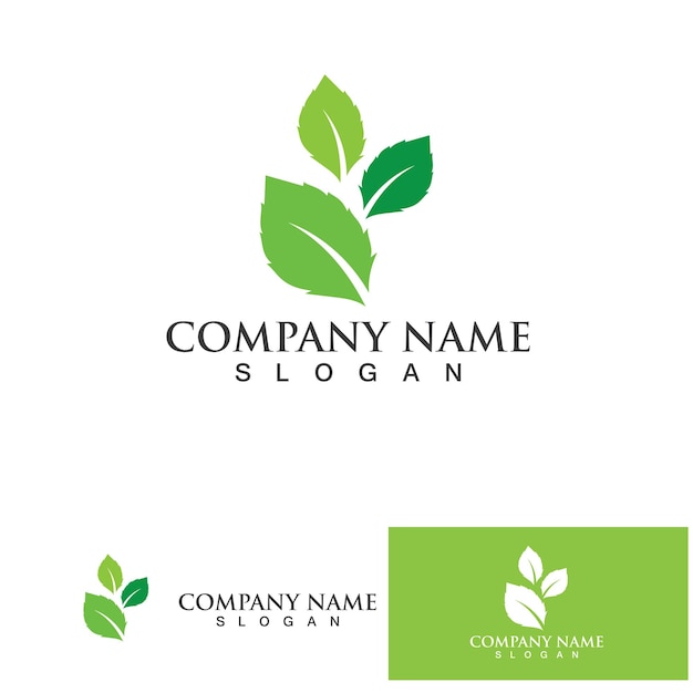 Eco Energy Vector Logo with leaf symbol Green color with flash or thunder graphic Nature and electricity renewable This logo is suitable for technology recycle organic