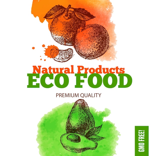 Eco food menu background Watercolor and hand drawn sketch fruits Vector illustration