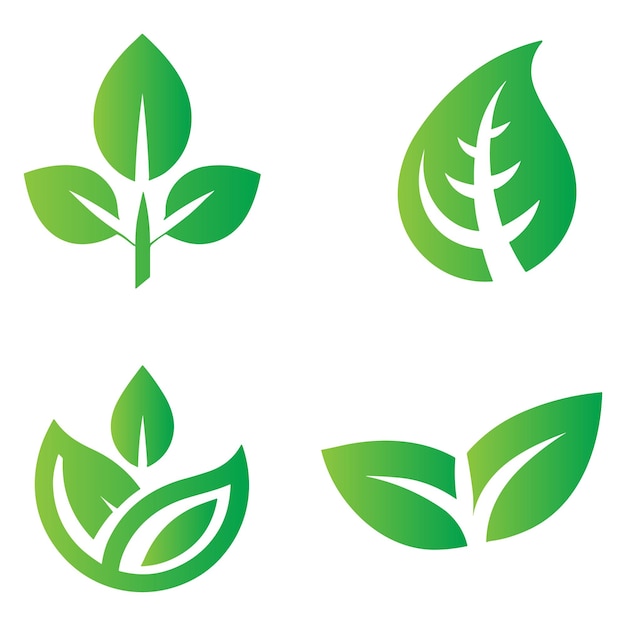 Eco green color leaf vector logo flat icon set