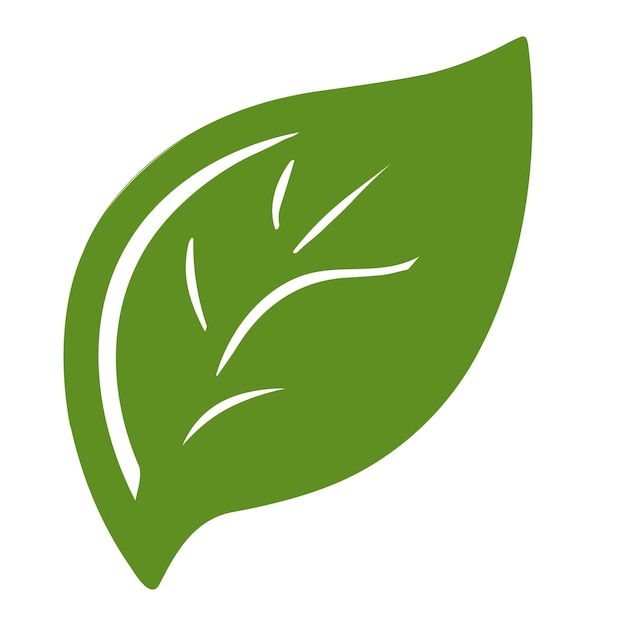 Eco green color leaf vector logo flat icon