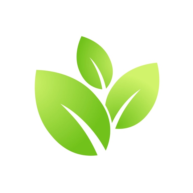 Eco green leaf icon. Bio nature green eco symbol for web and business. Simple flat illustration