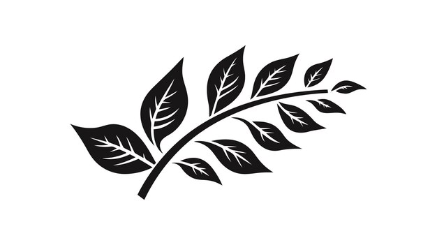 Eco icon black leaf vector illustration isolated on white background