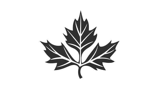 Eco icon black leaf vector illustration isolated on white background