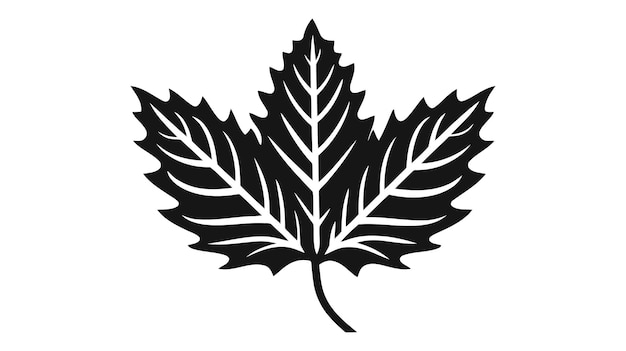 Eco icon black leaf vector illustration isolated on white background