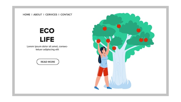 Eco Life And Eating Vitamin Fruit In Garden Vector. Young Woman Harvesting Natural Apples, Eco Life On Agricultural Landscape. Character Farmer Agriculture Scenery Scape Web Flat Cartoon Illustration