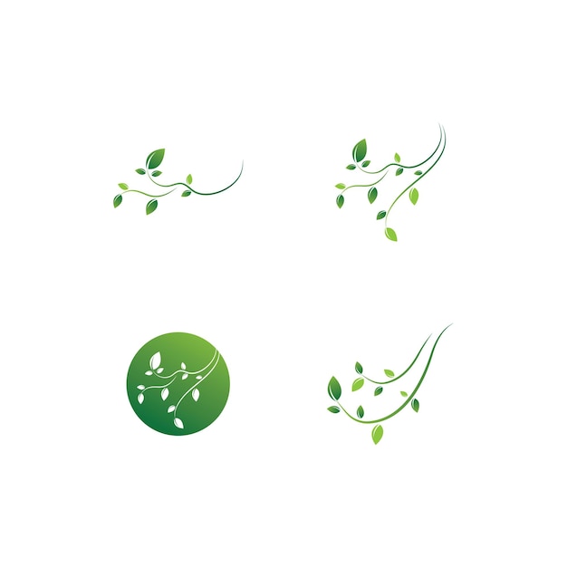 Eco Tree Leaf Logo Template