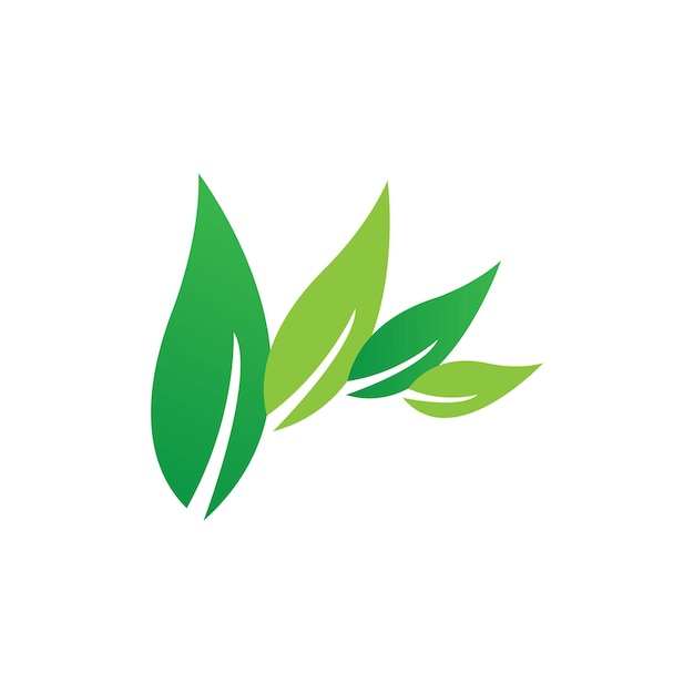 Eco Tree Leaf Logo