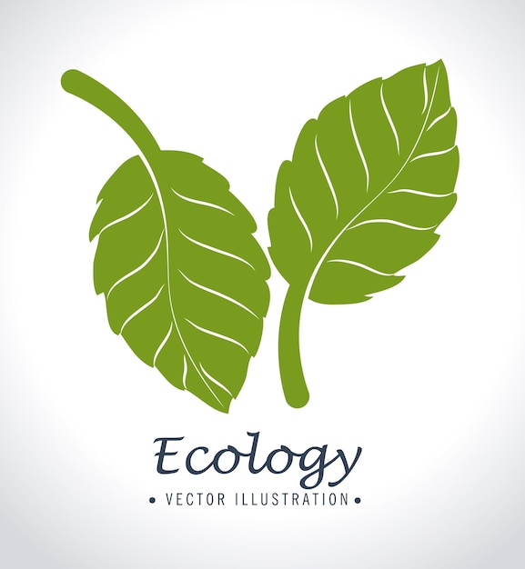 Ecology design