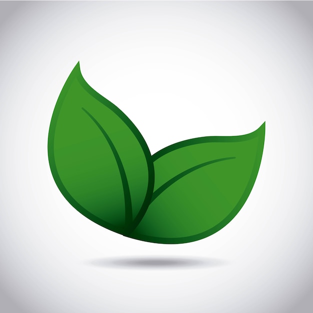 ecology leafs green icon