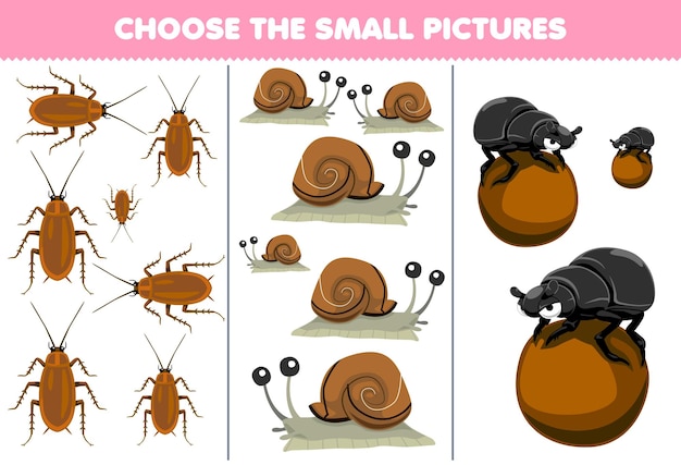 Education game for children choose the small picture of cute cartoon cockroach snail beetle printable bug worksheet