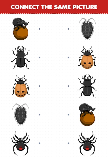 Education game for children connect the same picture of cute cartoon beetle ladybug louse spider printable bug worksheet